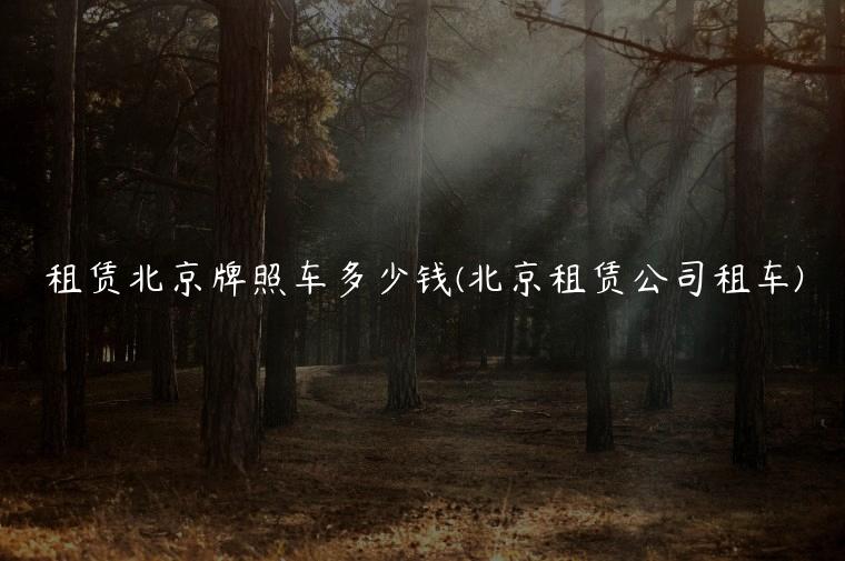 租赁北京牌照车多少钱(北京租赁公司租车)