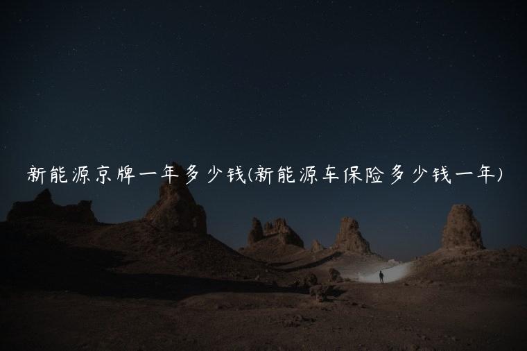 新能源京牌一年多少钱(新能源车保险多少钱一年)