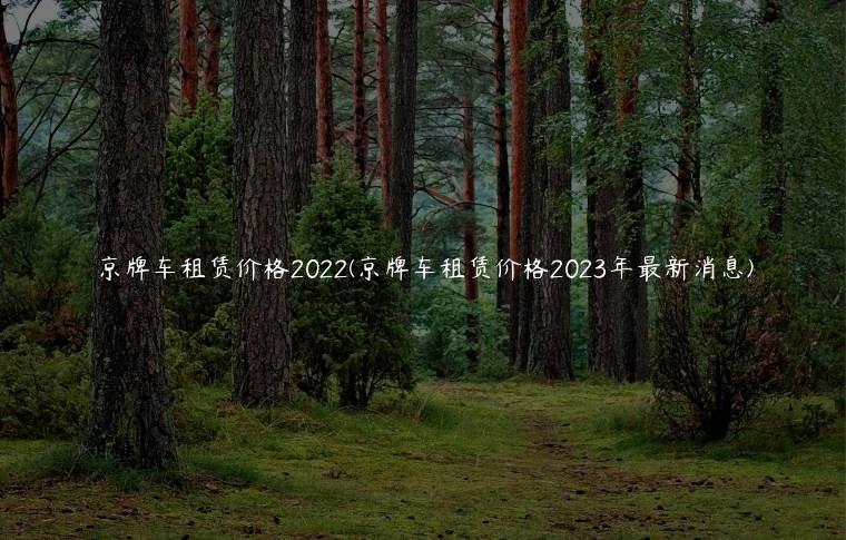 京牌车租赁价格2022(京牌车租赁价格2023年最新消息)