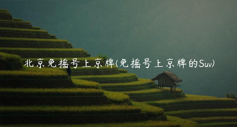 北京免摇号上京牌(免摇号上京牌的Suv)