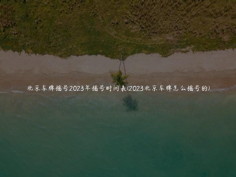 北京车牌摇号2023年摇号时间表(2023北京车牌怎么摇号的)