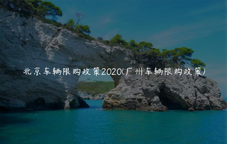 北京车辆限购政策2020(广州车辆限购政策)