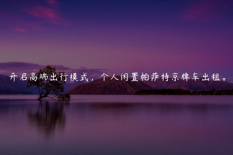 开启高端出行模式，个人闲置帕萨特京牌车出租。