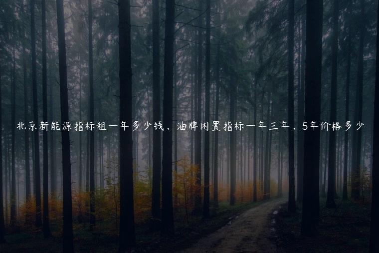 北京新能源指标租一年多少钱、油牌闲置指标一年三年、5年价格多少