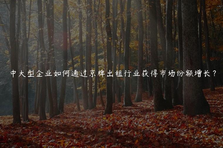 中大型企业如何通过京牌出租行业获得市场份额增长？