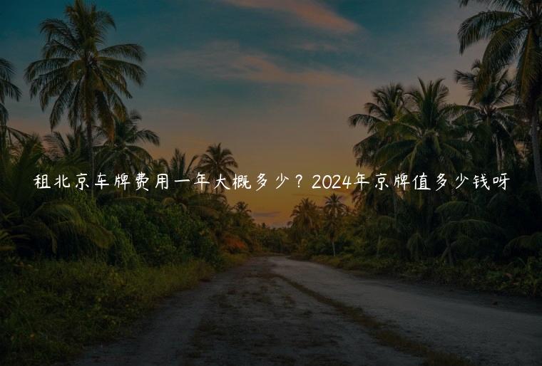 租北京车牌费用一年大概多少？2024年京牌值多少钱呀