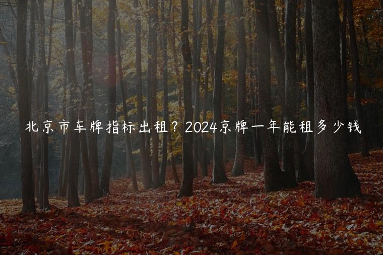 北京市车牌指标出租？2024京牌一年能租多少钱