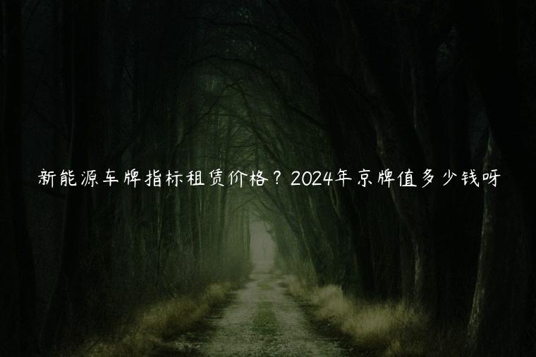 新能源车牌指标租赁价格？2024年京牌值多少钱呀