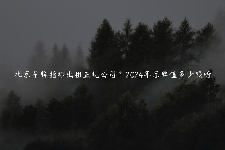 北京车牌指标出租正规公司？2024年京牌值多少钱呀