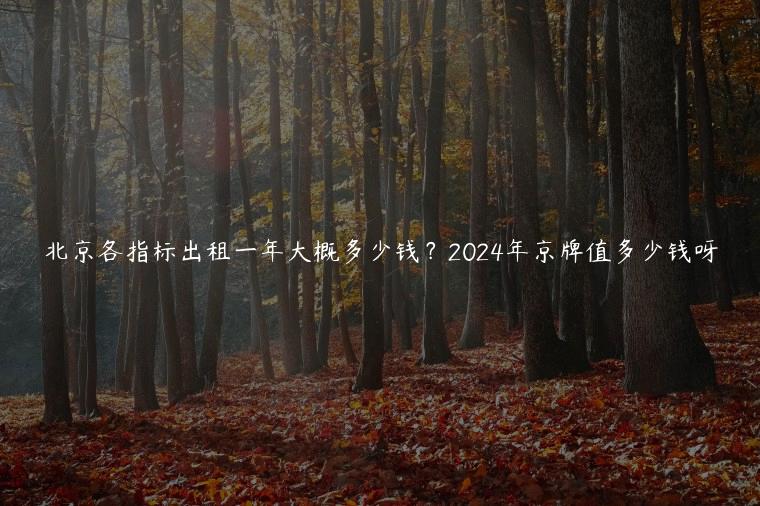 北京各指标出租一年大概多少钱？2024年京牌值多少钱呀