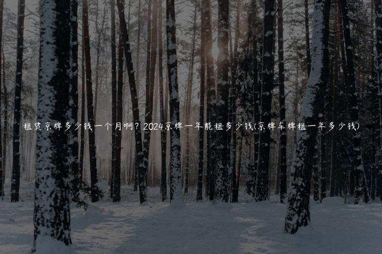 租赁京牌多少钱一个月啊？2024京牌一年能租多少钱(京牌车牌租一年多少钱)