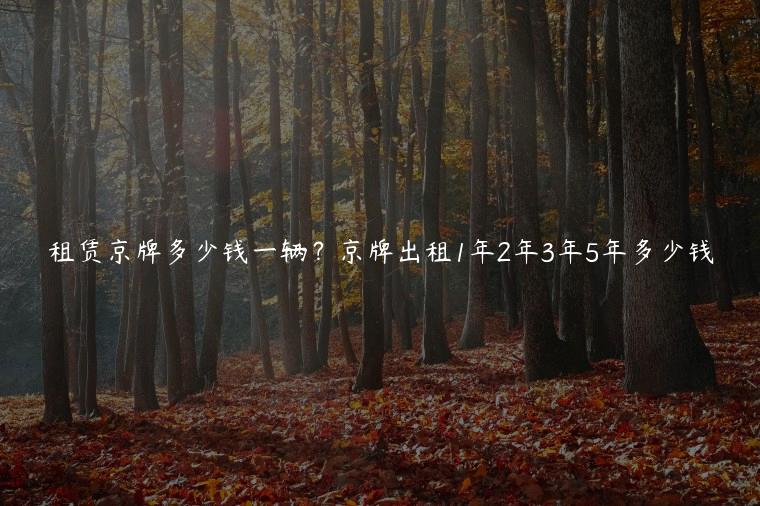 租赁京牌多少钱一辆？京牌出租1年2年3年5年多少钱