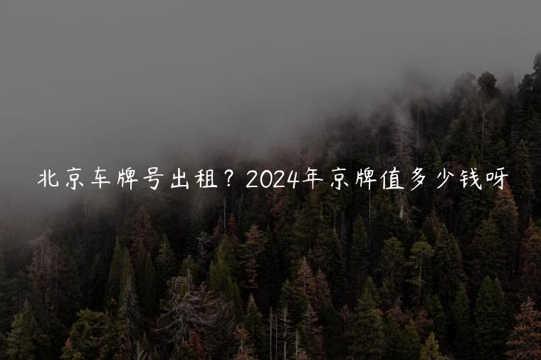 北京车牌号出租？2024年京牌值多少钱呀