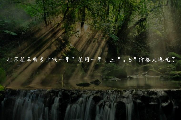 北京租车牌多少钱一年？租用一年、三年。5年价格大曝光了