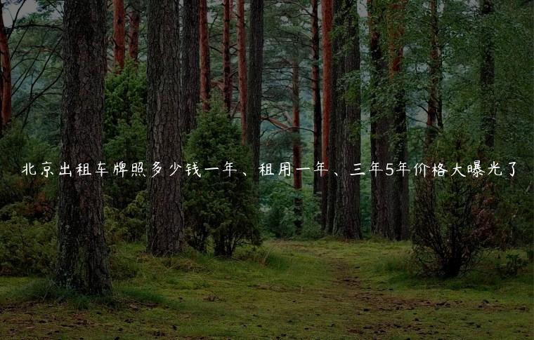 北京出租车牌照多少钱一年、租用一年、三年5年价格大曝光了