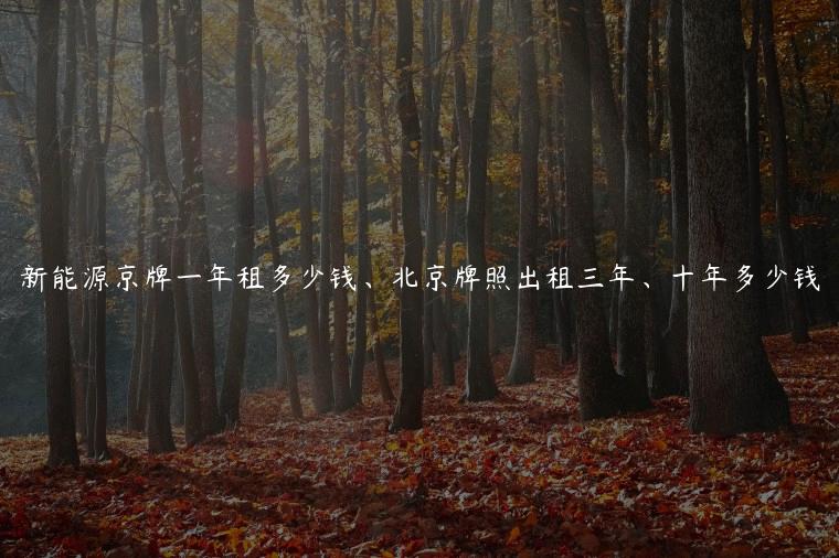 新能源京牌一年租多少钱、北京牌照出租三年、十年多少钱