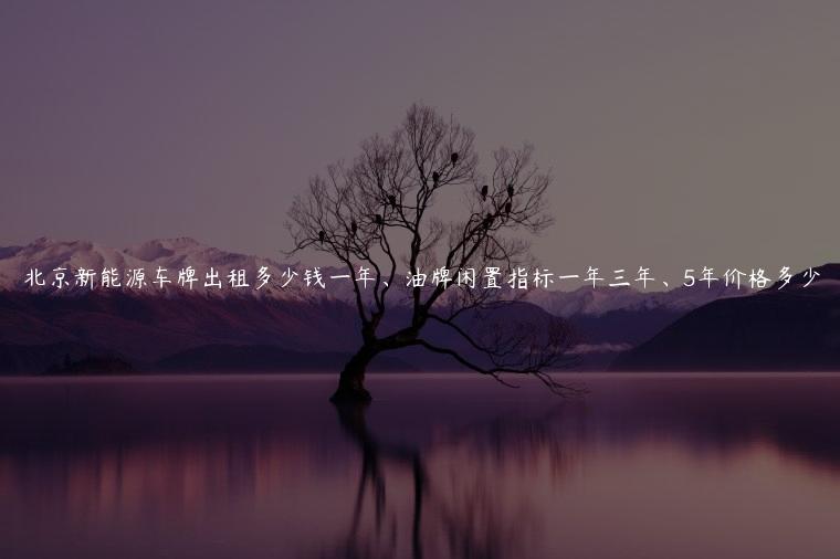 北京新能源车牌出租多少钱一年、油牌闲置指标一年三年、5年价格多少