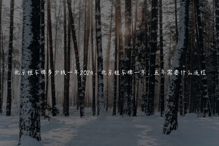 北京租车牌多少钱一年2024、北京租车牌一年、五年需要什么流程