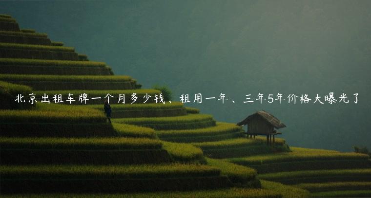 北京出租车牌一个月多少钱、租用一年、三年5年价格大曝光了