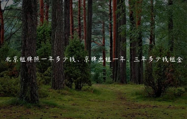 北京租牌照一年多少钱、京牌出租一年、三年多少钱租金