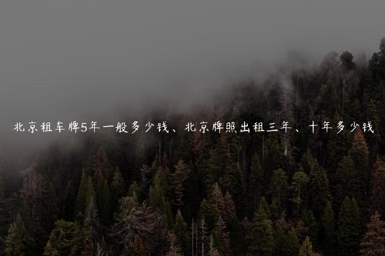 北京租车牌5年一般多少钱、北京牌照出租三年、十年多少钱