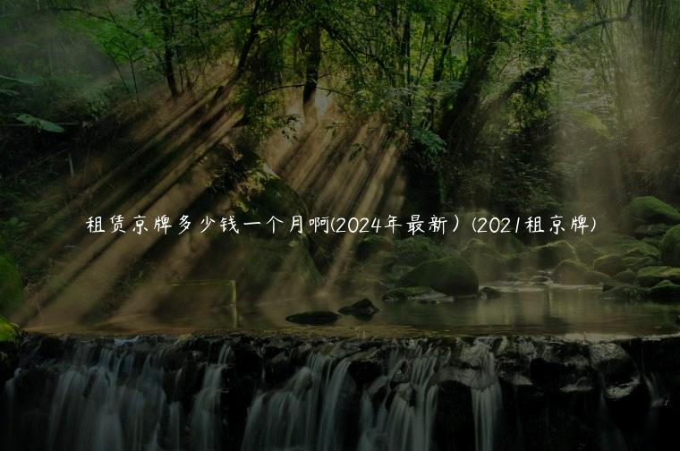 租赁京牌多少钱一个月啊(2024年最新）(2021租京牌)