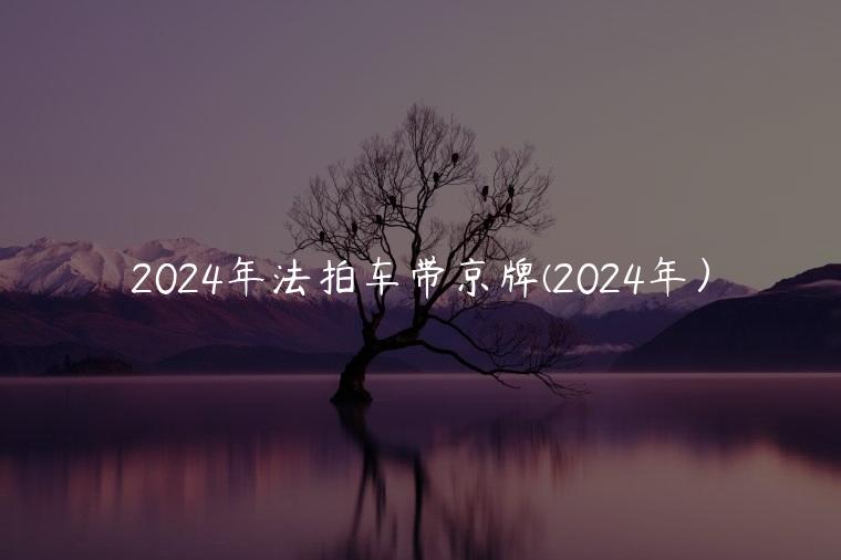 2024年法拍车带京牌(2024年）