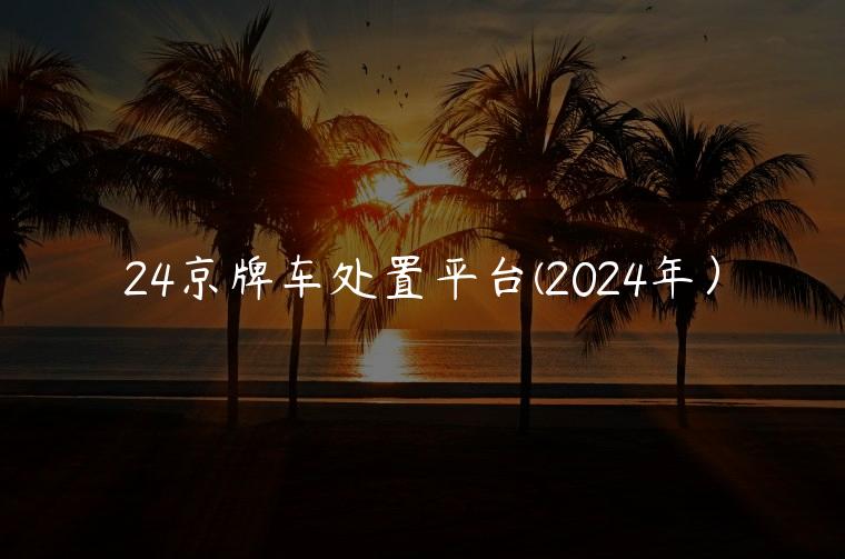 24京牌车处置平台(2024年）