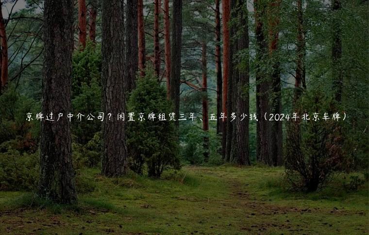 京牌过户中介公司？闲置京牌租赁三年、五年多少钱（2024年北京车牌）