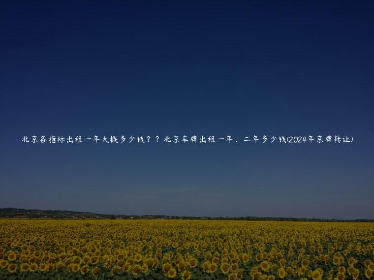 北京各指标出租一年大概多少钱？？北京车牌出租一年、二年多少钱(2024年京牌转让)