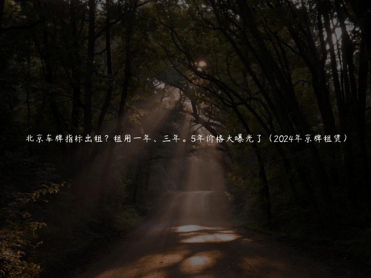 北京车牌指标出租？租用一年、三年。5年价格大曝光了（2024年京牌租赁）