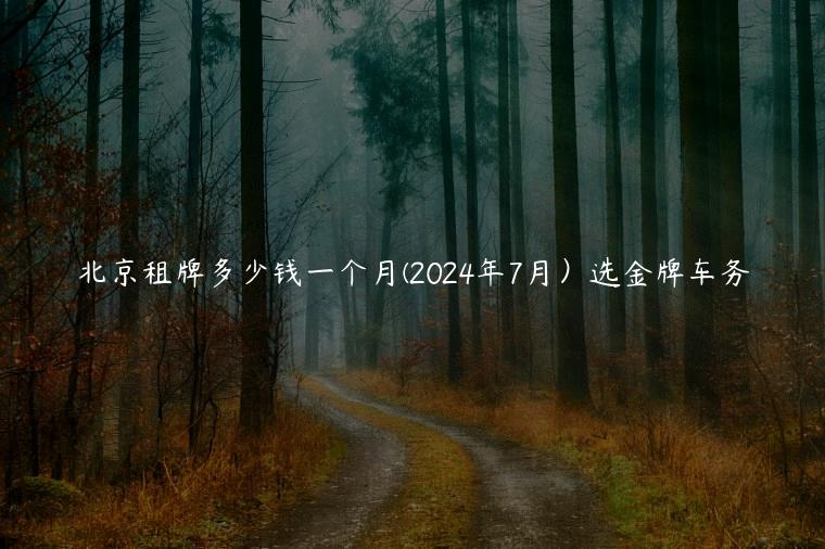 北京租牌多少钱一个月(2024年7月）选金牌车务