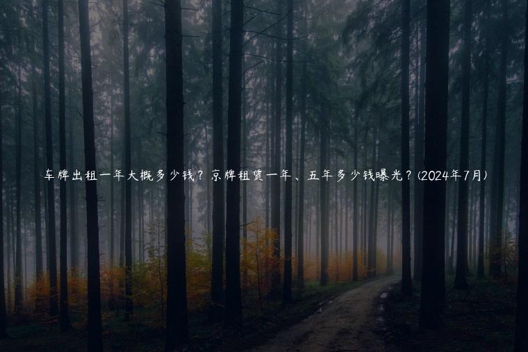 车牌出租一年大概多少钱？京牌租赁一年、五年多少钱曝光？(2024年7月)