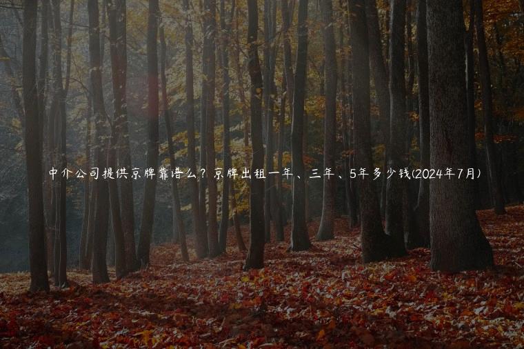 中介公司提供京牌靠谱么？京牌出租一年、三年、5年多少钱(2024年7月)