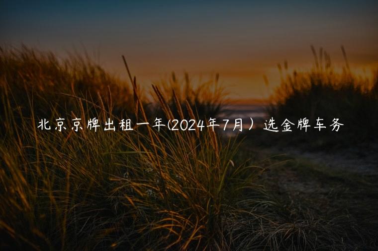 北京京牌出租一年(2024年7月）选金牌车务