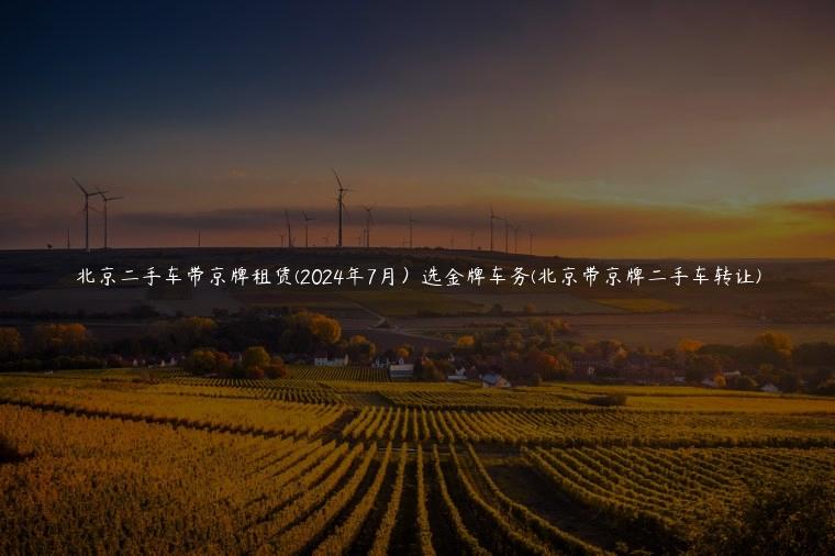 北京二手车带京牌租赁(2024年7月）选金牌车务(北京带京牌二手车转让)