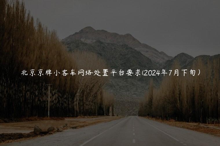 北京京牌小客车网络处置平台要求(2024年7月下旬）