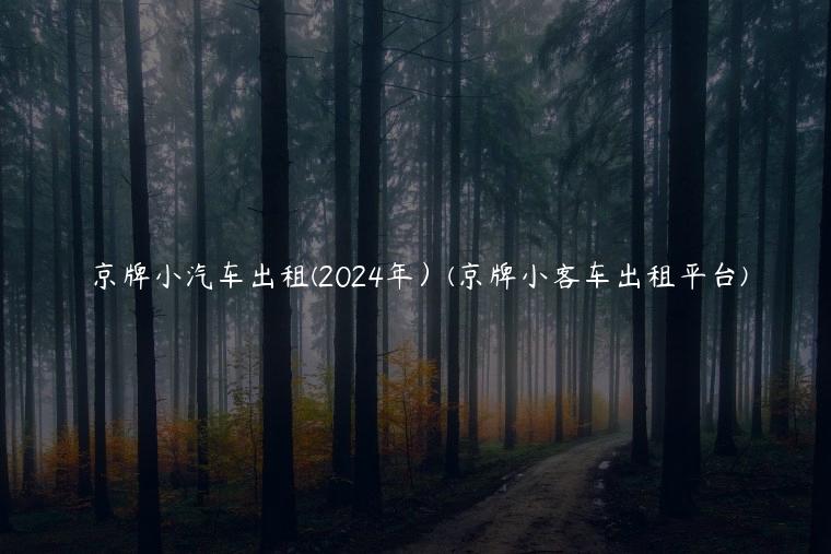 京牌小汽车出租(2024年）(京牌小客车出租平台)