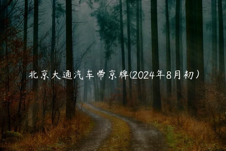 北京大通汽车带京牌(2024年8月初）