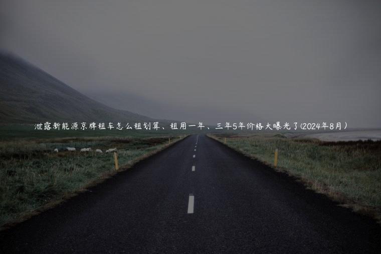 泄露新能源京牌租车怎么租划算、租用一年、三年5年价格大曝光了(2024年8月）