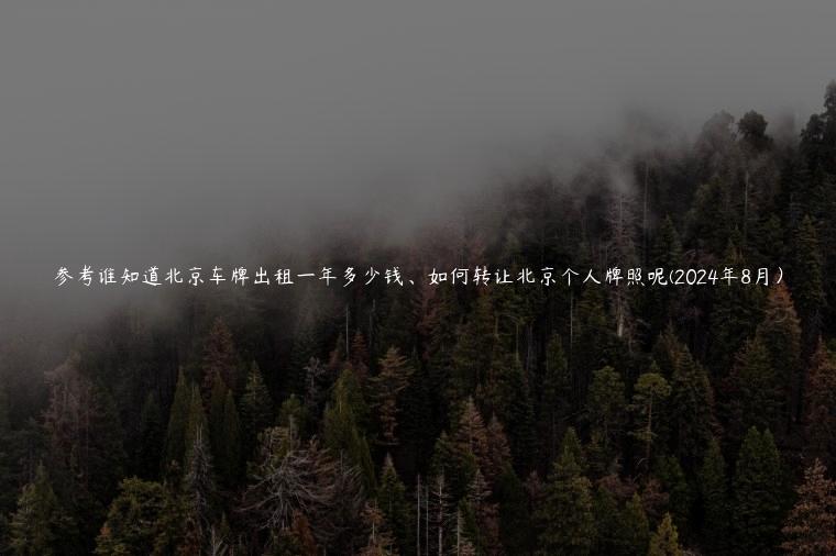 参考谁知道北京车牌出租一年多少钱、如何转让北京个人牌照呢(2024年8月）