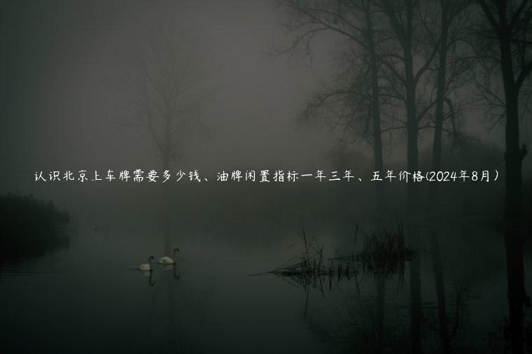 认识北京上车牌需要多少钱、油牌闲置指标一年三年、五年价格(2024年8月）