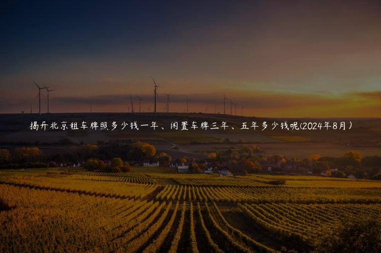 揭开北京租车牌照多少钱一年、闲置车牌三年、五年多少钱呢(2024年8月）