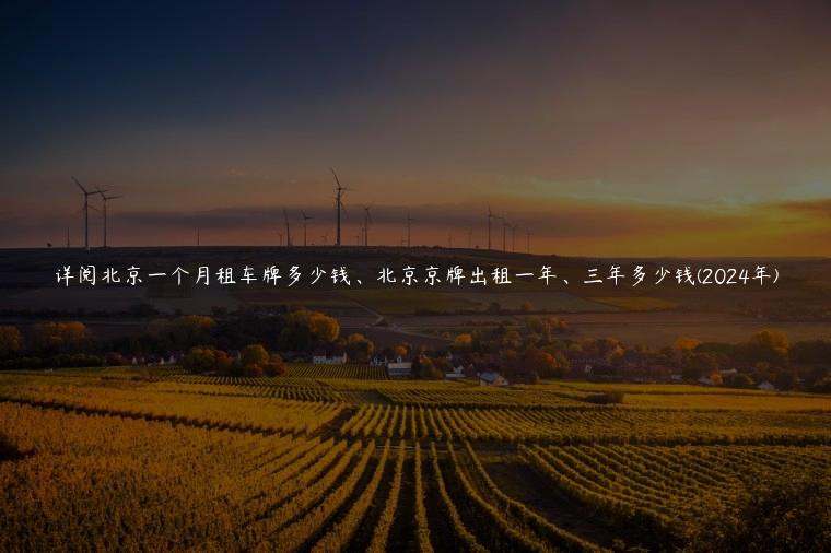 详阅北京一个月租车牌多少钱、北京京牌出租一年、三年多少钱(2024年)