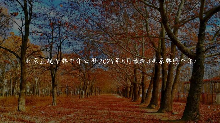 北京正规车牌中介公司(2024年8月最新)(北京牌照中介)