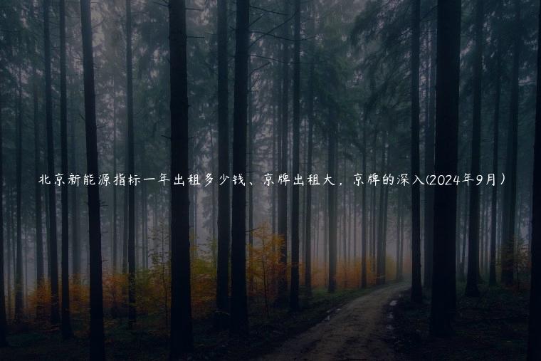 北京新能源指标一年出租多少钱、京牌出租大，京牌的深入(2024年9月）