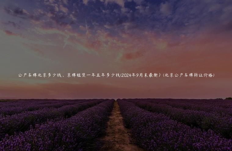 公户车牌北京多少钱、京牌租赁一年五年多少钱(2024年9月末最新）(北京公户车牌转让价格)