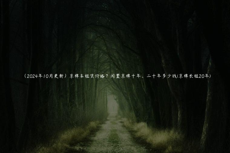 （2024年10月更新）京牌车租赁价格？闲置京牌十年、二十年多少钱(京牌长租20年)