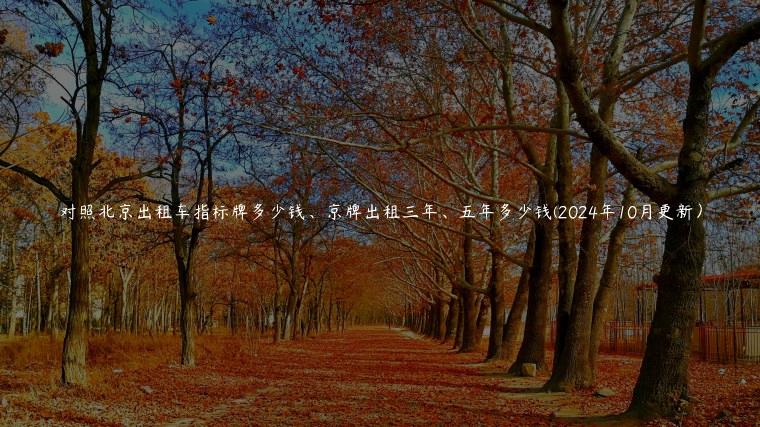对照北京出租车指标牌多少钱、京牌出租三年、五年多少钱(2024年10月更新）