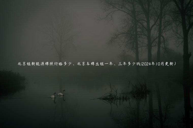 北京租新能源牌照价格多少、北京车牌出租一年、三年多少钱(2024年10月更新）